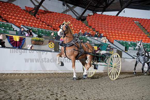BigE_20221002-SCL_4441