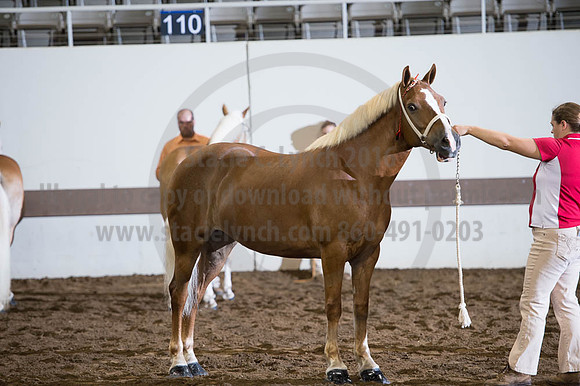 ISF_08192016_SCL_4118