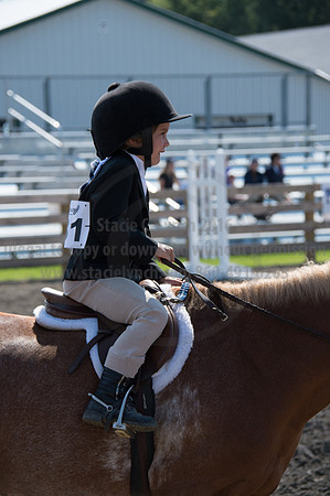 2016DCF_08242016_SCL_8689