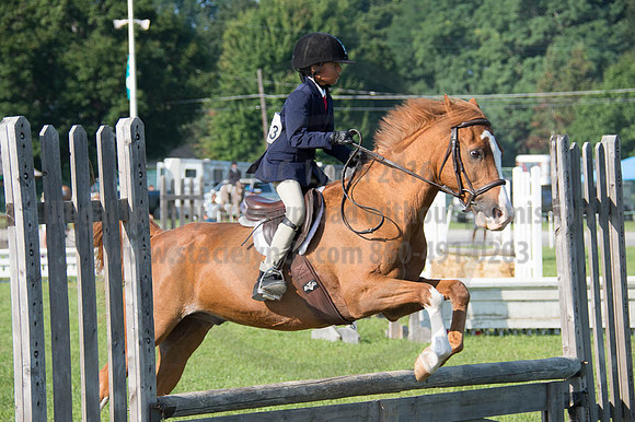 2016DCF_08262016_SCL_0152