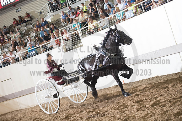ISF_08132017_SCL_2619