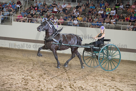 ISF_08132017_SCL_2527