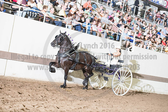 ISF_08132017_SCL_2499