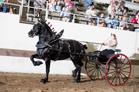 Percheron Ladies Cart