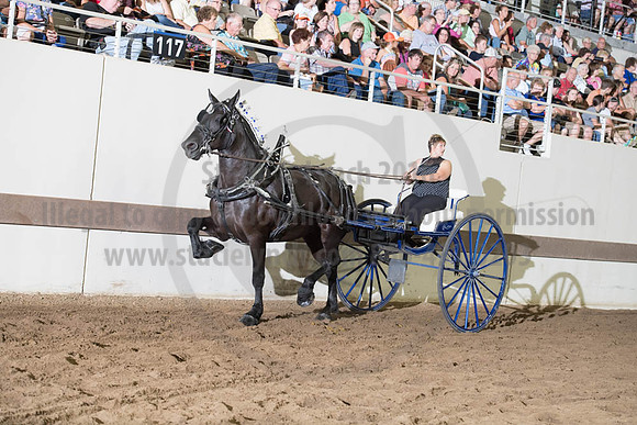 ISF_08132017_SCL_2505