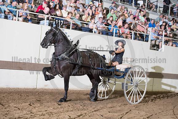 ISF_08132017_SCL_2586