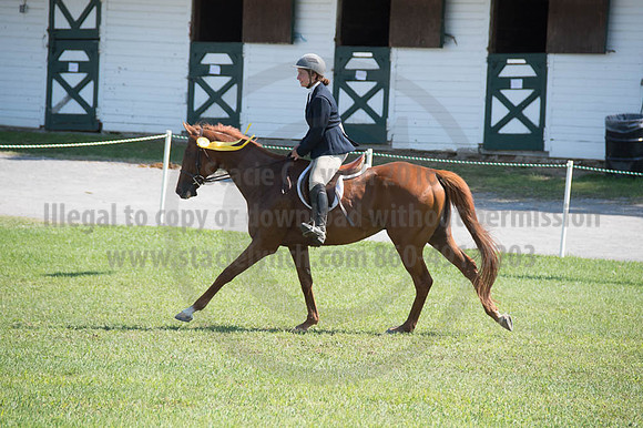 2016DCF_08262016_SCL_0750