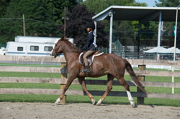 2016DCF_08242016_SCL_8592
