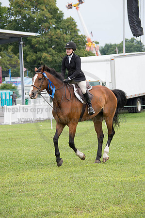 2016DCF_08252016_SCL_0054