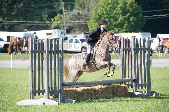 2016DCF_08262016_SCL_0184