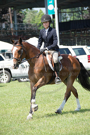 2016DCF_08262016_SCL_0482