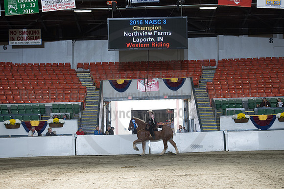 NABC8_10142016_SCL_8397