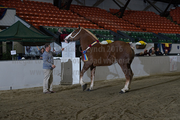 NABC8_10152016_SCL_1827
