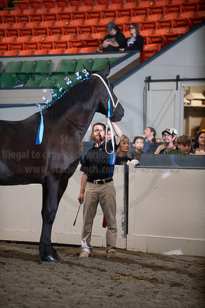 BigE_10012026_SCL4181