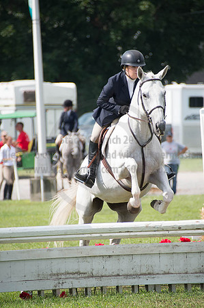 2016DCF_08262016_SCL_0326