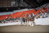 BigE_10012026_SCL4601