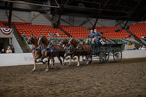 BigE_10032026_SCL6798