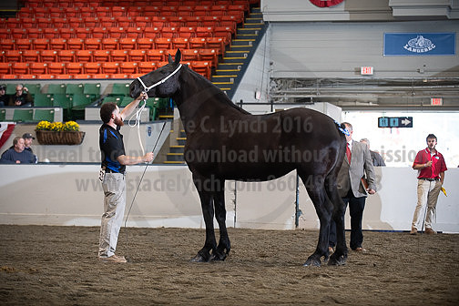 BigE_10012026_SCL4120