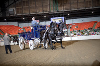 BigE_10012026_SCL4623