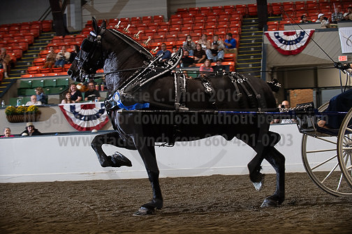 BigE_10032026_SCL6506