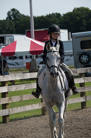 2016DCF_08242016_SCL_8706