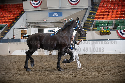 BigE_10012026_SCL4146