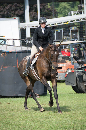 2016DCF_08262016_SCL_0289