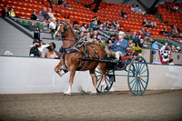 BigE_10012026_SCL4404