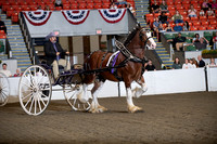 BigE_10022026_SCL5411