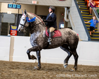BigE_10022026_SCL5576