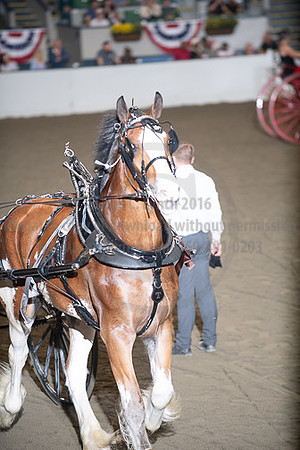 BigE_10012026_SCL4549