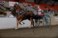 BigE_10022026_SCL5348