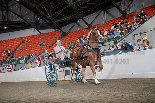 BigE_10042026_SCL7387