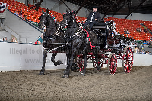 BigE_10022026_SCL5136