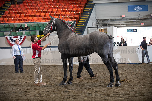 BigE_10012026_SCL4141