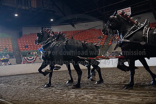 BigE_10012026_SCL4853