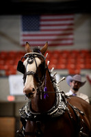 BigE_10022026_SCL5424