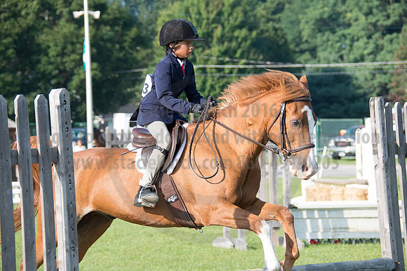 2016DCF_08262016_SCL_0108