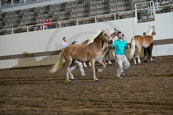 ISF_08192016_SCL_4240