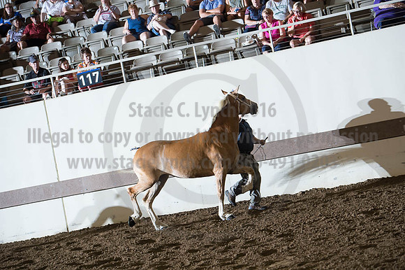 ISF_08192016_SCL_5752