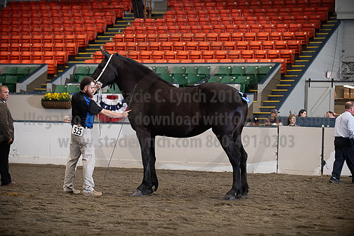 BigE_10012026_SCL4118