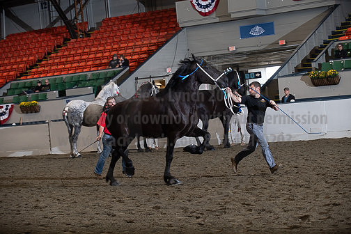 BigE_10012026_SCL4167