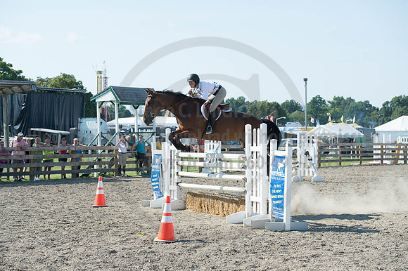 2016DCF_08262016_SCL_0832