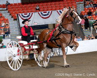67. Belgian Men’s Cart