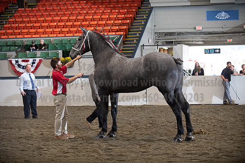 BigE_10012026_SCL4140