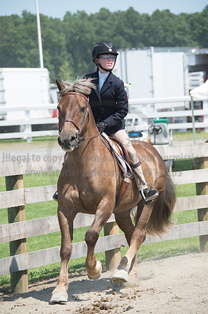 2016DCF_08242016_SCL_9116