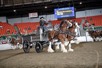 BigE_10022026_SCL5102