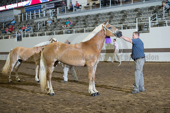 ISF_08192016_SCL_4638