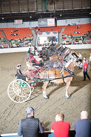 BigE_10042026_SCL7495