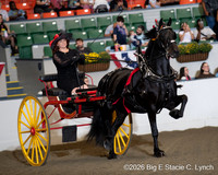 66. Haflinger Ladies’ Cart Championship Series- Round 1